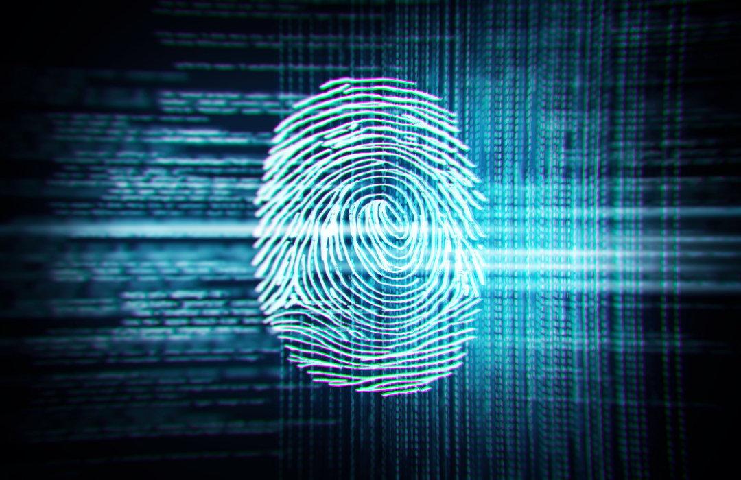 Video: Perspectives on Digital ID - What the future may look like (eKYC ...